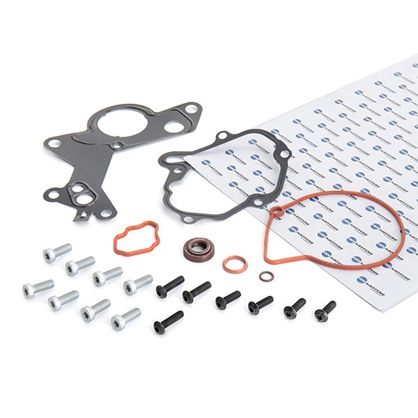 DR.MOTOR AUTOMOTIVE Korjaussarja, alipainepumppu (jarru) DRM0210 Ford Ecosport MK1 alipainepumppu DR.MOTOR AUTOMOTIVE DRM0210