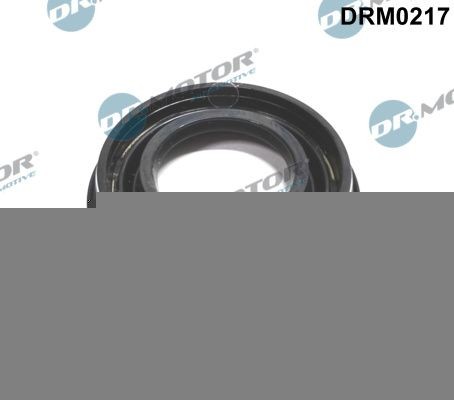 Pakning, dyseholder DR.MOTOR AUTOMOTIVE DRM0217 DR.MOTOR AUTOMOTIVE DRM0217: Tætningsring dyseholder Ford TRANSIT 2000