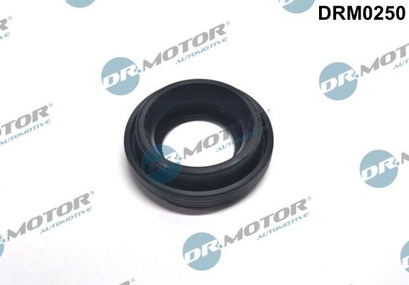 Tætningsring, dyseholder DR.MOTOR AUTOMOTIVE DRM0250 DR.MOTOR AUTOMOTIVE DRM0250: Pakning dyseholder Toyota AURIS 2018