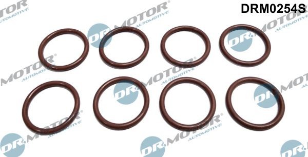 DR.MOTOR AUTOMOTIVE Packningssats, spridare DRM0254S Reparationssats insprutningsmunstycke Opel L69 DRM0254S DR.MOTOR AUTOMOTIVE