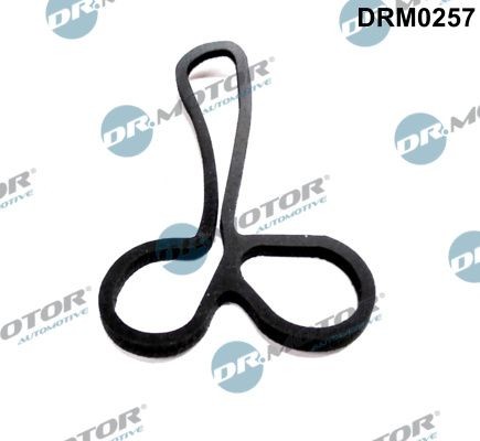 DR.MOTOR AUTOMOTIVE Tihend,õliradiaator DRM0257 DR.MOTOR AUTOMOTIVE DRM0257 Õlijahuti tihend KA Hatchback (RU8) hind