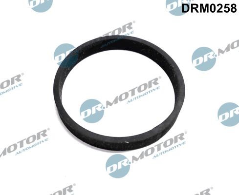DR.MOTOR AUTOMOTIVE Φλάντζα, εισαγωγή τουρμπίνας (τούρμπο) DRM0258 Φλάντζα υπερπληρωτή καυσαερίων DR.MOTOR AUTOMOTIVE GIULIA DRM0258 φθηνά