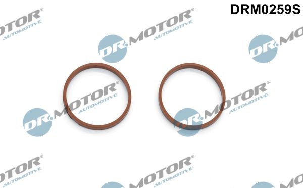 DR.MOTOR AUTOMOTIVE Blīvju komplekts, Ieplūdes kolektors DRM0259S DR.MOTOR AUTOMOTIVE DRM0259S Ieplūdes kolektora blīve Citroen C4 Picasso 2 lēti