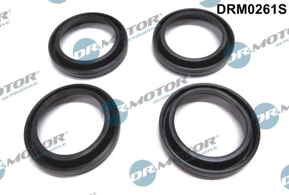 DR.MOTOR AUTOMOTIVE Σετ στεγανοπ., κάλ. κυλινδροκεφαλής DRM0261S Φλάντζα καπακιου βαλβίδων DR.MOTOR AUTOMOTIVE FARGO DRM0261S φθηνά