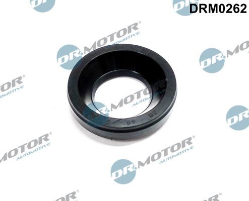 Tetning, dyseholder DR.MOTOR AUTOMOTIVE DRM0262 DR.MOTOR AUTOMOTIVE DRM0262 Tetningsring innsprøytningsdyse Mazda 6 2009