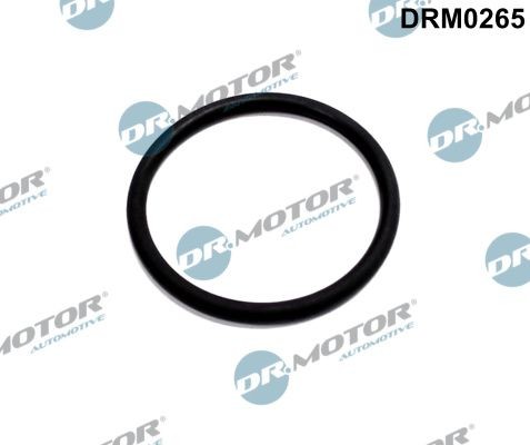 DR.MOTOR AUTOMOTIVE Pakningssæt, AGR-system DRM0265 Pakning agr DR.MOTOR AUTOMOTIVE PATRIOT DRM0265 billig