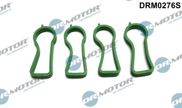 DR.MOTOR AUTOMOTIVE Kit guarnizioni, Collettore aspirazione DRM0276S DR.MOTOR AUTOMOTIVE DRM0276S Guarnizione collettore aspirazione Opel Astra J Sedan prezzo