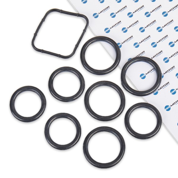 DR.MOTOR AUTOMOTIVE Gasket Set, intake manifold DRM027S DR.MOTOR AUTOMOTIVE DRM027S Ford Transit Courier Estate gasket set intake manifold replacement