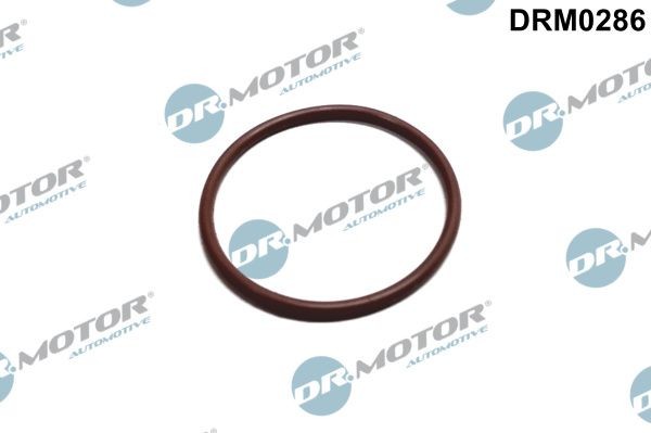 DR.MOTOR AUTOMOTIVE Dichtung, Kraftstoffpumpe DRM0286 DRM0286 Dichtung, Kraftstoffpumpe JAGUAR XF DR.MOTOR AUTOMOTIVE kaufen
