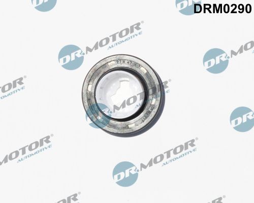 DR.MOTOR AUTOMOTIVE Vārpstas blīvgredzens, Sadales vārpsta DRM0290 DR.MOTOR AUTOMOTIVE DRM0290 orģinālās Sadales vārpstas blīvslēgs DAIHATSU CUORE cena