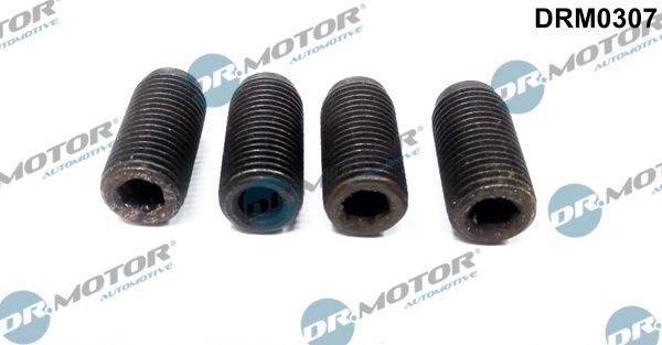Justeringsskrue, innsprøytningspumpe DR.MOTOR AUTOMOTIVE DRM0307 DR.MOTOR AUTOMOTIVE DRM0307 Høytrykkspumpe SKODA FABIA 2004