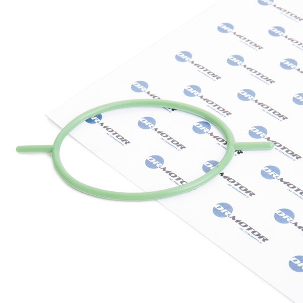 Packning, vakuumpump DR.MOTOR AUTOMOTIVE DRM0349 DR.MOTOR AUTOMOTIVE DRM0349 Elektrisk vakuumpump till bromsservo FORD FOCUS 2005