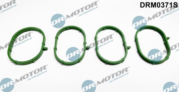 Blīvju komplekts, Ieplūdes kolektors DR.MOTOR AUTOMOTIVE DRM0371S DR.MOTOR AUTOMOTIVE DRM0371S Ieplūdes kolektora blīve FORD FOCUS 2023