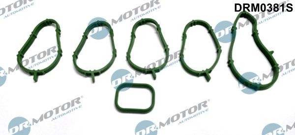 DR.MOTOR AUTOMOTIVE Σετ στεγανοποίησης, πολλαπλή εισαγωγής DRM0381S DR.MOTOR AUTOMOTIVE DRM0381S Τσιμουχα πολλαπλής εισαγωγής Fiat Punto 188 φθηνά