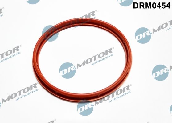 DR.MOTOR AUTOMOTIVE Packning, insug, grenrörshus DRM0454 FORD Transit Mk5 Flak/Chassi (V184, V185) Insugspackning DR.MOTOR AUTOMOTIVE DRM0454