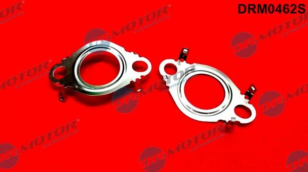 DR.MOTOR AUTOMOTIVE Jogo de vedantes, sistema de recirculação gases de escape DRM0462S DRM0462S Junta de válvula egr HYUNDAI ACCENT DR.MOTOR AUTOMOTIVE