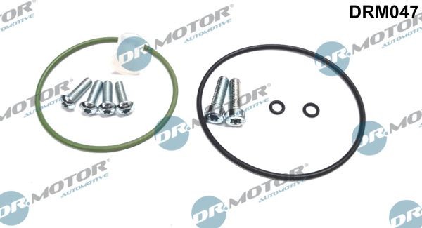 Kit de réparation, pompe à vide (freinage) DR.MOTOR AUTOMOTIVE DRM047 DR.MOTOR AUTOMOTIVE DRM047 Pompe à vide de freinage AUDI Q7 2010