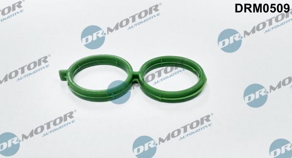 DR.MOTOR AUTOMOTIVE Pakning, tomgangsreguleringsventil-lufttilførsel DRM0509 DRM0509 Pakning agr DR.MOTOR AUTOMOTIVE JEEP PATRIOT