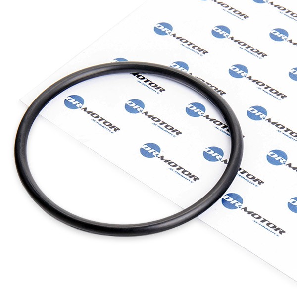 DR.MOTOR AUTOMOTIVE Φλάντζα, φίλτρο καυσίμου DRM053 Φίλτρο καυσίμου Peugeot 7E, N3, N5 DRM053 DR.MOTOR AUTOMOTIVE