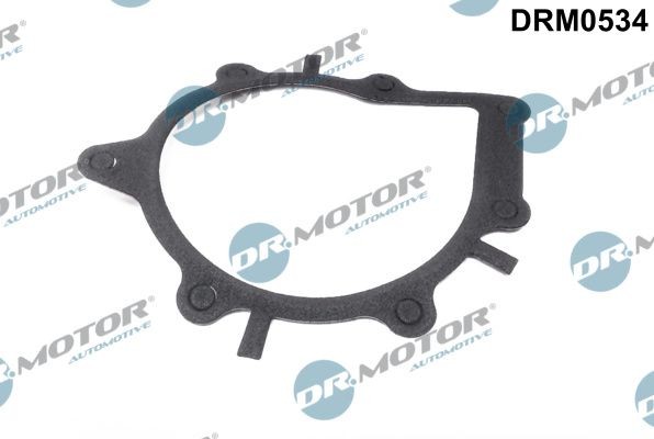 DR.MOTOR AUTOMOTIVE Tihend, veepump DRM0534 DR.MOTOR AUTOMOTIVE DRM0534 Tihend Citroën C4 Mk1 hind