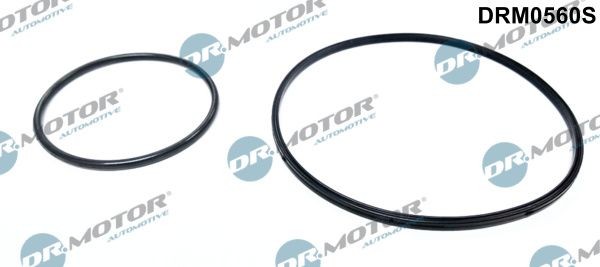 DR.MOTOR AUTOMOTIVE Σέτ τσιμούχες, αντλία υποπίεσης DRM0560S Αντλία υποπίεσης BMW E38 DRM0560S DR.MOTOR AUTOMOTIVE