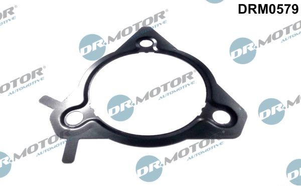 DR.MOTOR AUTOMOTIVE Pakning, indsprøjtningspumpe DRM0579 DR.MOTOR AUTOMOTIVE DRM0579 ATS Coupe Pakning, indsprøjtningspumpe pris