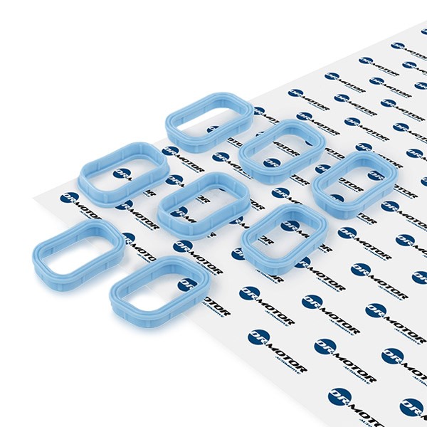 DR.MOTOR AUTOMOTIVE Tihendikomplekt, Sisselaskekollektor DRM057S DR.MOTOR AUTOMOTIVE DRM057S originaal Sisselaskekollektori tihend Maxus hind