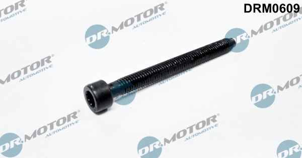 DR.MOTOR AUTOMOTIVE Skruv, spridarhållare DRM0609 DRM0609 DR.MOTOR AUTOMOTIVE värmeskyddsskiva, insprutning DODGE JOURNEY