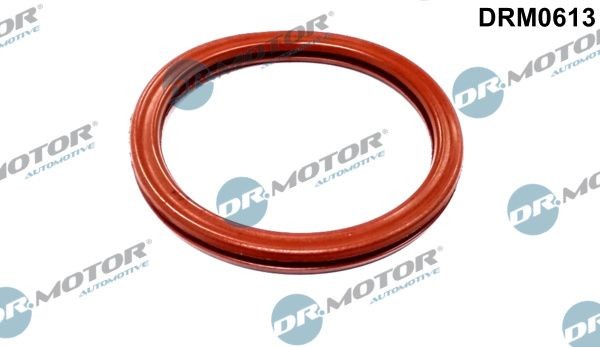 DR.MOTOR AUTOMOTIVE Insugspackning DRM0613 DRM0613 DR.MOTOR AUTOMOTIVE packning insugsgrenrör Renault Symbol
