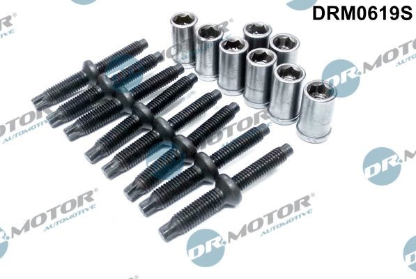 Reparatursatz, Düsenhalter DR.MOTOR AUTOMOTIVE DRM0619S CITROЁN C5 2015 Injektor Dichtung DR.MOTOR AUTOMOTIVE DRM0619S