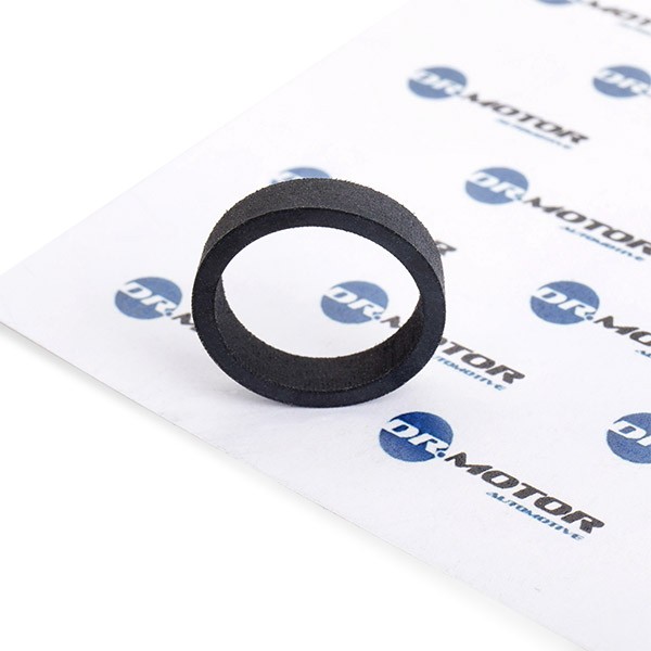 DR.MOTOR AUTOMOTIVE Guarnizione, Ventilazione monoblocco DRM065 DR.MOTOR AUTOMOTIVE DRM065 Separatore vapori olio Renault Symbol Thalia prezzo