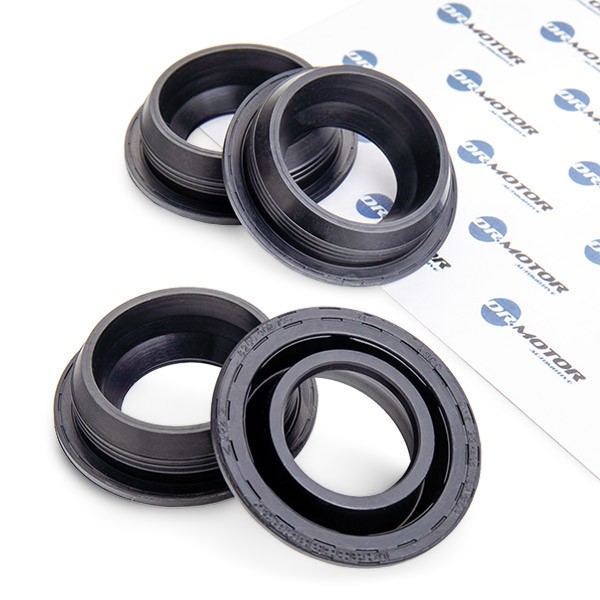 DR.MOTOR AUTOMOTIVE Rocker cover gasket DRM069S DR.MOTOR AUTOMOTIVE DRM069S genuine Renault Master III Minibus rocker cover gasket price