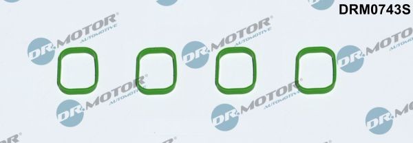 DR.MOTOR AUTOMOTIVE Pakning, indsugningsmanifold DRM0743S DR.MOTOR AUTOMOTIVE DRM0743S VW Passat CC Indsugningsmanifold pakning originale pris