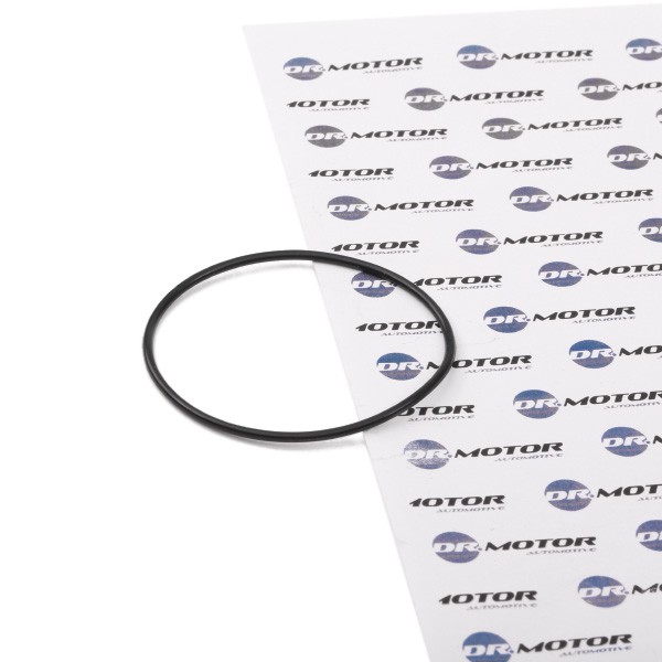 DR.MOTOR AUTOMOTIVE Blīvgredzens DRM0746 DR.MOTOR AUTOMOTIVE DRM0746 orģinālās Vakuumsūknis bremžu sistēma CITROЁN XM cena