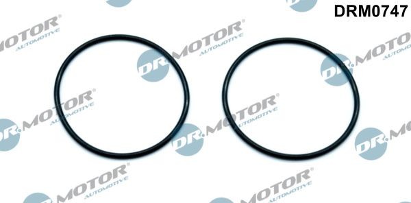 DR.MOTOR AUTOMOTIVE Tihend, vaakumpump DRM0747 DR.MOTOR AUTOMOTIVE DRM0747 Pump pidurisüsteem Civic VIII Hatchback (FN, FK) hind