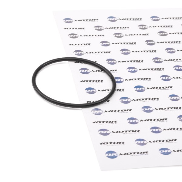 DR.MOTOR AUTOMOTIVE Φλάντζα, αντλία υποπίεσης DRM0748 DR.MOTOR AUTOMOTIVE DRM0748 Αντλία κενού Lexus GS φθηνά