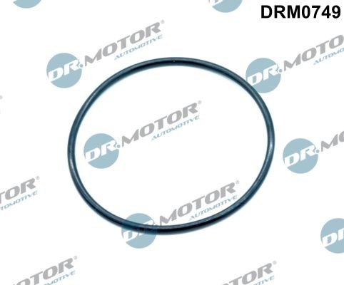 DR.MOTOR AUTOMOTIVE Tetning, innsugningsmanifold DRM0749 DR.MOTOR AUTOMOTIVE DRM0749 Innsugsmanifold pakning VW Crafter 30 Van pris