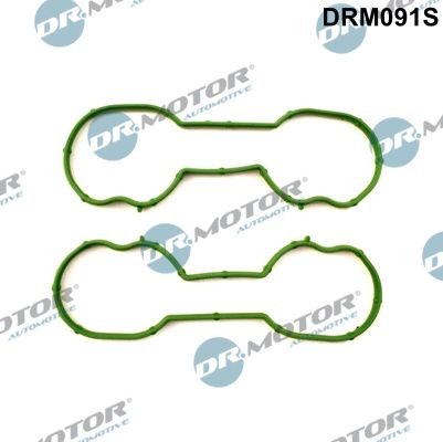 DR.MOTOR AUTOMOTIVE Blīvju komplekts, Ieplūdes kolektors DRM091S Ieplūdes kolektora blīve DR.MOTOR AUTOMOTIVE Ford TOURNEO CUSTOM DRM091S