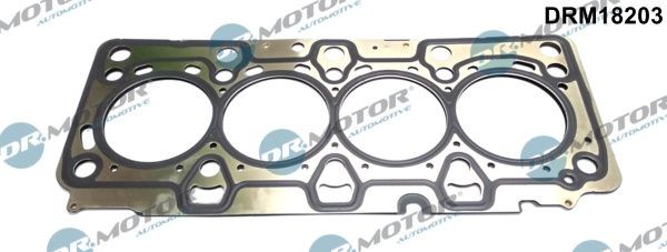 Tetning, topplokk DR.MOTOR AUTOMOTIVE DRM18203 DR.MOTOR AUTOMOTIVE DRM18203: Toppakning Renault MODUS 2019