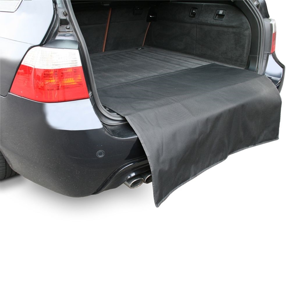 RENSI Bumperlijst 14216 14216 Plaat bumper RENAULT SCÉNIC RENSI