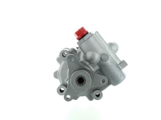 SPIDAN Roolivõimu pump 54954 54954 Roolivõimendi pump RENAULT CLIO SPIDAN