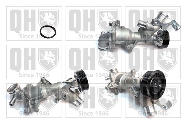 QUINTON HAZELL Wasserpumpe QCP3962 QCP3962 Kühlmittelpumpe MERCEDES-BENZ CLK QUINTON HAZELL kaufen