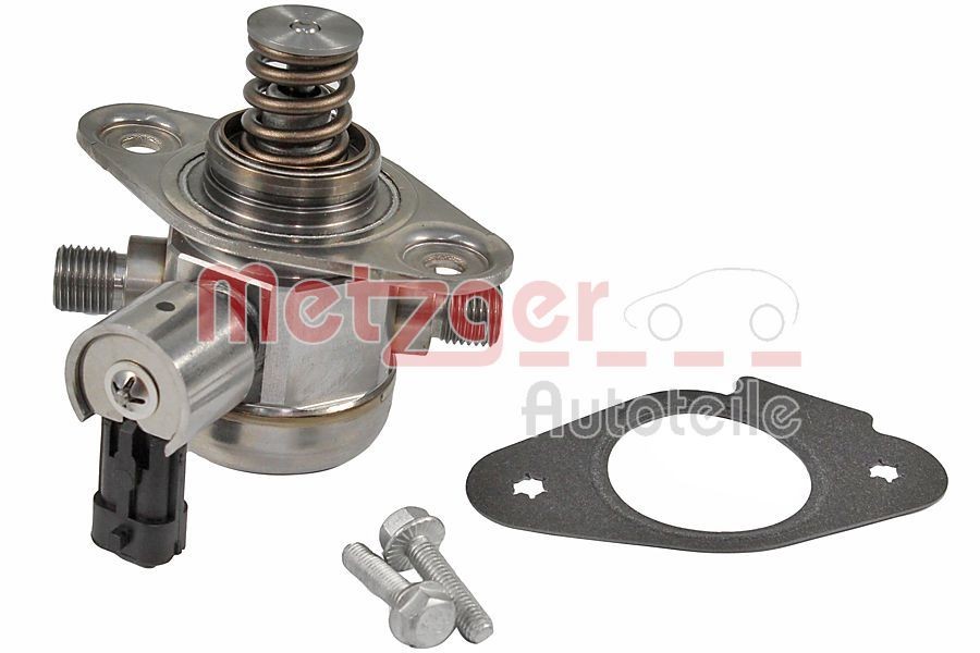 METZGER High pressure fuel pump 2250440 METZGER 2250440 SAAB 9-3 Saloon high pressure fuel pump cost