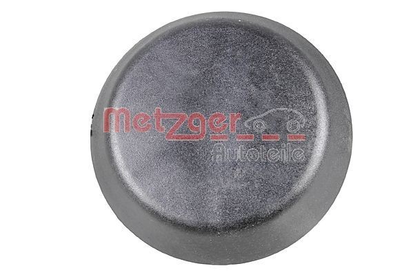METZGER Υποδοχή, γρύλος 2270020 2270020 Υποδοχή, γρύλος METZGER HYUNDAI ix20