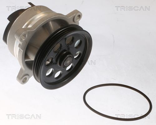 Wasserpumpe TRISCAN 8600 16076 8600 16076 TRISCAN Wasserpumpe EDGE 2024 original
