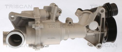 TRISCAN Bomba de água 8600 23098 Bomba de água TRISCAN SL 8600 23098 baratos