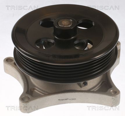 TRISCAN Vandpumpe 8600 24057 Vandpumpe TRISCAN Opel REKORD 8600 24057