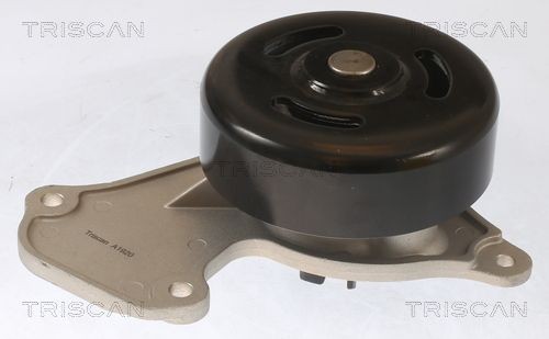 TRISCAN Vannpumpe 8600 25095 8600 25095 Vannpumpe RENAULT 6 TRISCAN