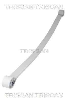 TRISCAN Lames de ressort 8765 23041 TRISCAN Lame de ressort MERCEDES-BENZ 8765 23041