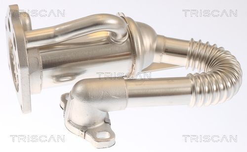 TRISCAN EGR-kjøler 8813 25105 8813 25105 Agr kjøler VW GOLF TRISCAN